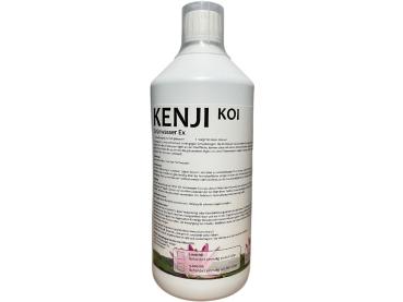 KENJI KOI Grünwasser Ex 1000ml